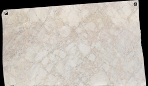 BIANCO RHINO Marble