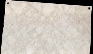 BIANCO RHINO Marble
