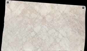 BIANCO RHINO Marble