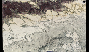 BRECCIA CAPRAIA Marble