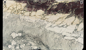 BRECCIA CAPRAIA Marble