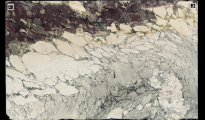 BRECCIA CAPRAIA Marble