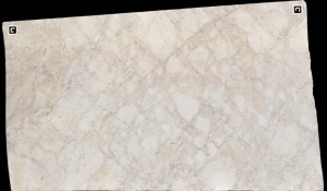 BIANCO RHINO Marble