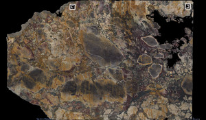 BRECHE DE VERSAILLES Marble