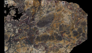 BRECHE DE VERSAILLES Marble