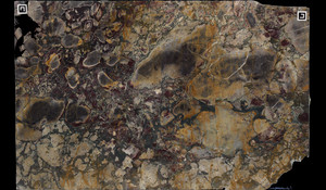 BRECHE DE VERSAILLES Marble