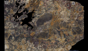 BRECHE DE VERSAILLES Marble