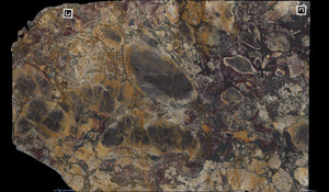 BRECHE DE VERSAILLES Marble