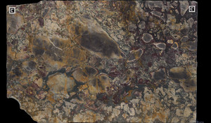 BRECHE DE VERSAILLES Marble