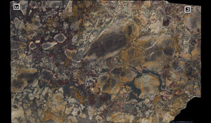 BRECHE DE VERSAILLES Marble