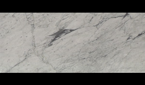 BIANCO CARRARA HONED Marble