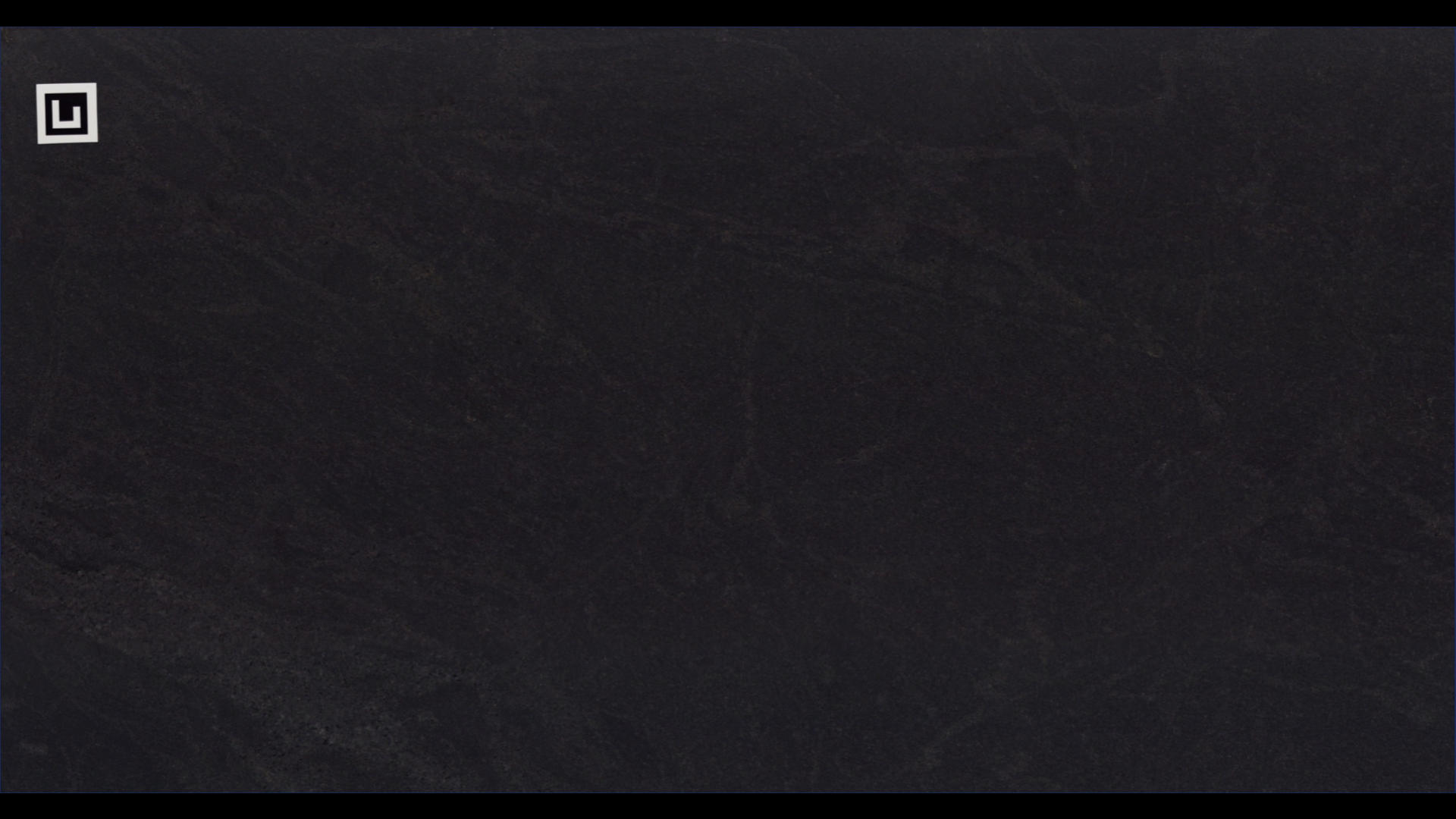 BLACK MIST LEATHER Granite Slabs