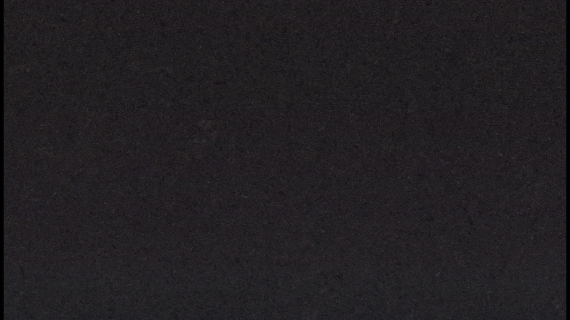 BLACK PEARL P/L Granite Slabs