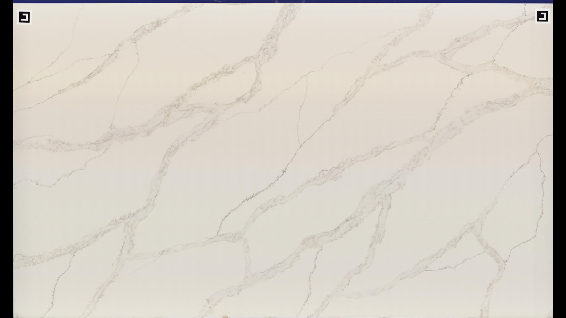 CALACATTA ALTISSIMO Quartz Slabs