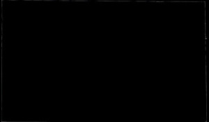 ABSOLUTE BLACK LEATHER Granite