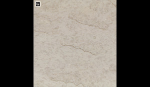 DELLA TERRA QUARTZ NEW TAJ Quartz