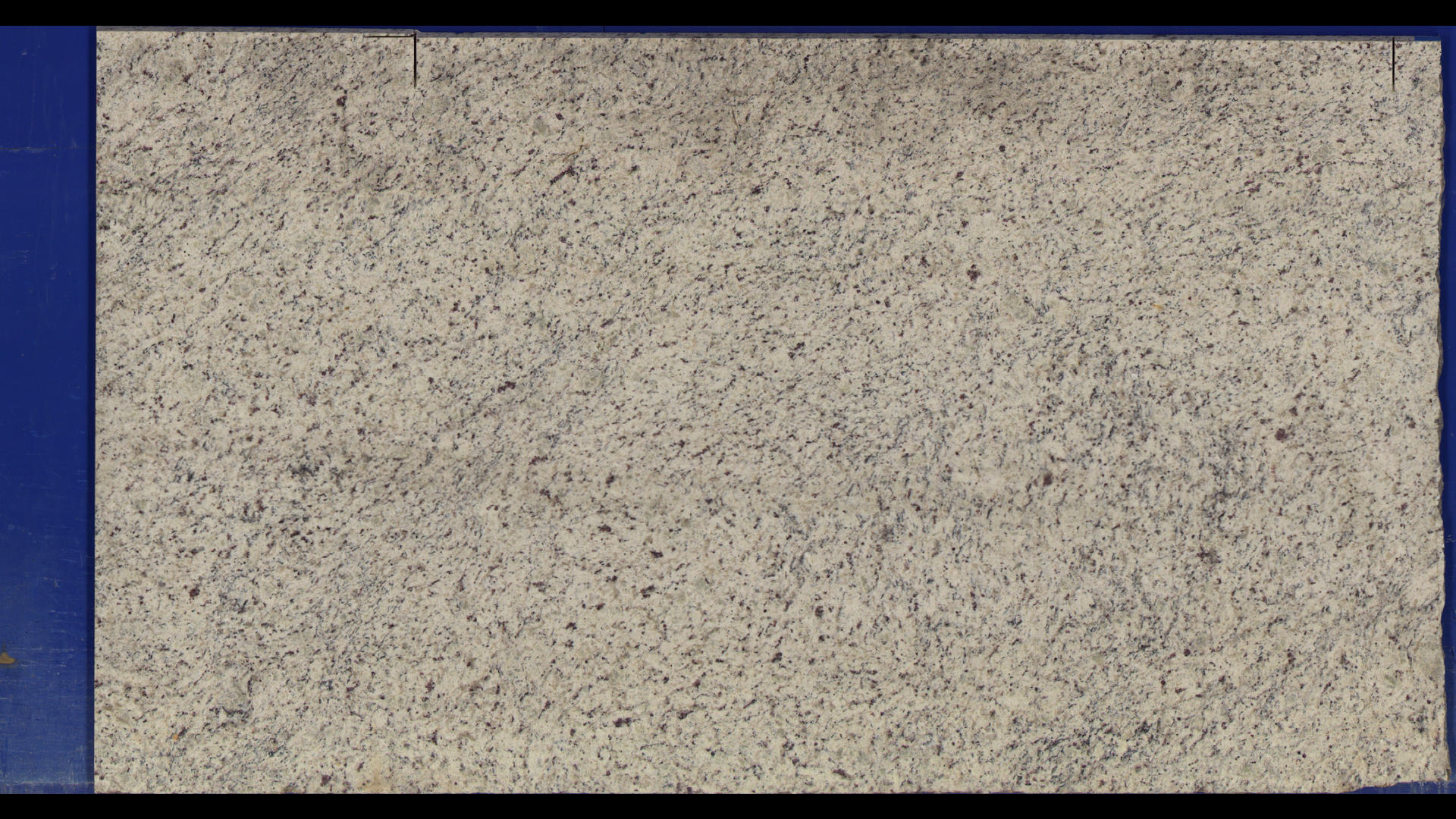 DALLAS WHITE Granite Slabs