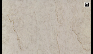 DELLA TERRA QUARTZ NEW TAJ Quartz