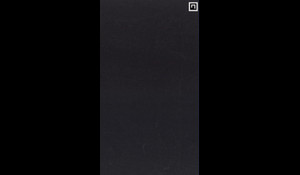 BLACK MIST HONED Granite