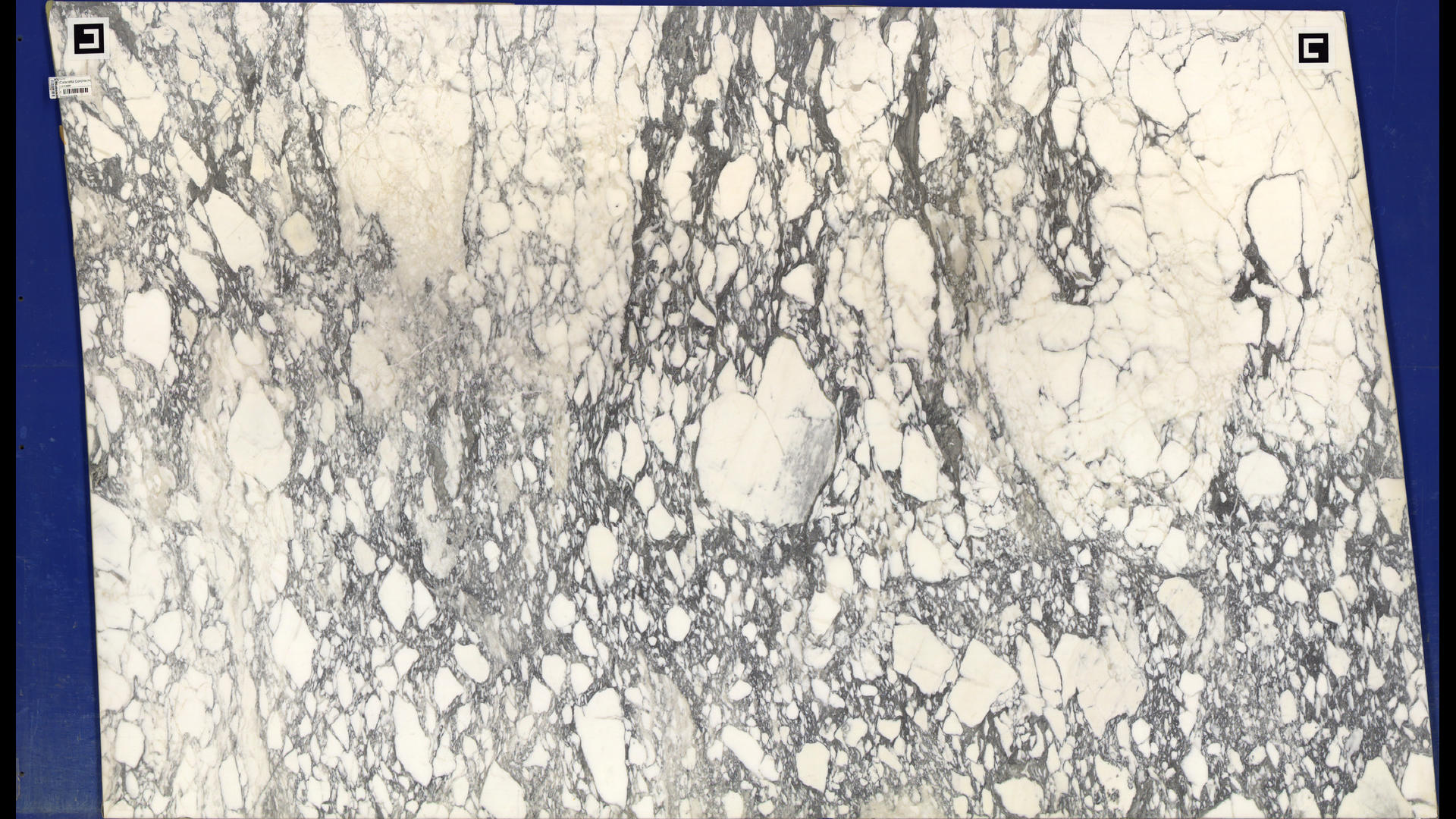 CALACATTA CORCHIA HONED Marble Slabs