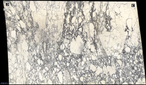 CALACATTA CORCHIA HONED Marble