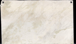 BIANCO RHINO Marble