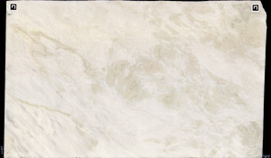 BIANCO RHINO Marble