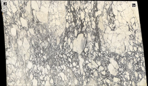 CALACATTA CORCHIA HONED Marble