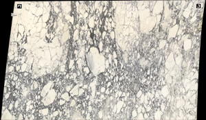 CALACATTA CORCHIA HONED Marble