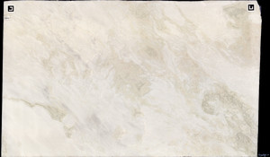 BIANCO RHINO Marble