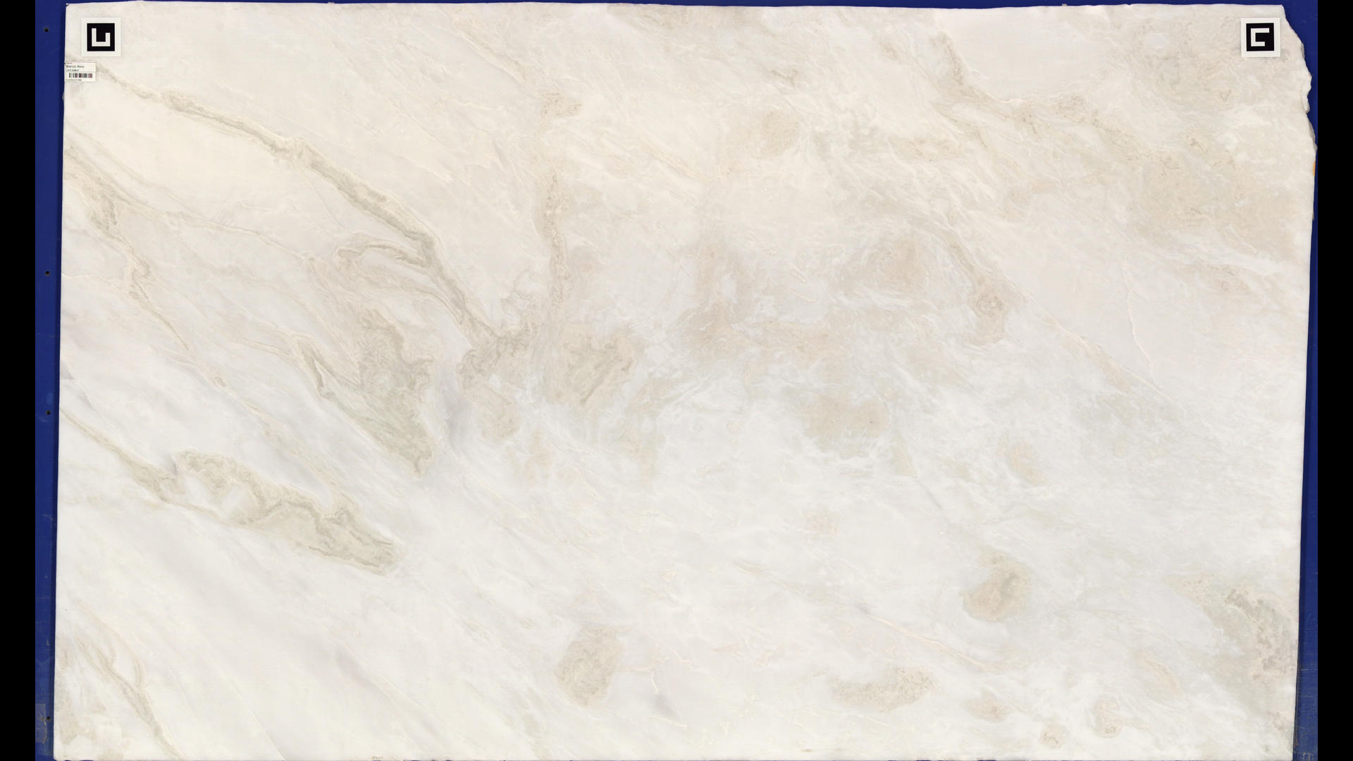 BIANCO RHINO Marble Slabs