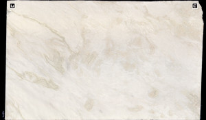 BIANCO RHINO Marble
