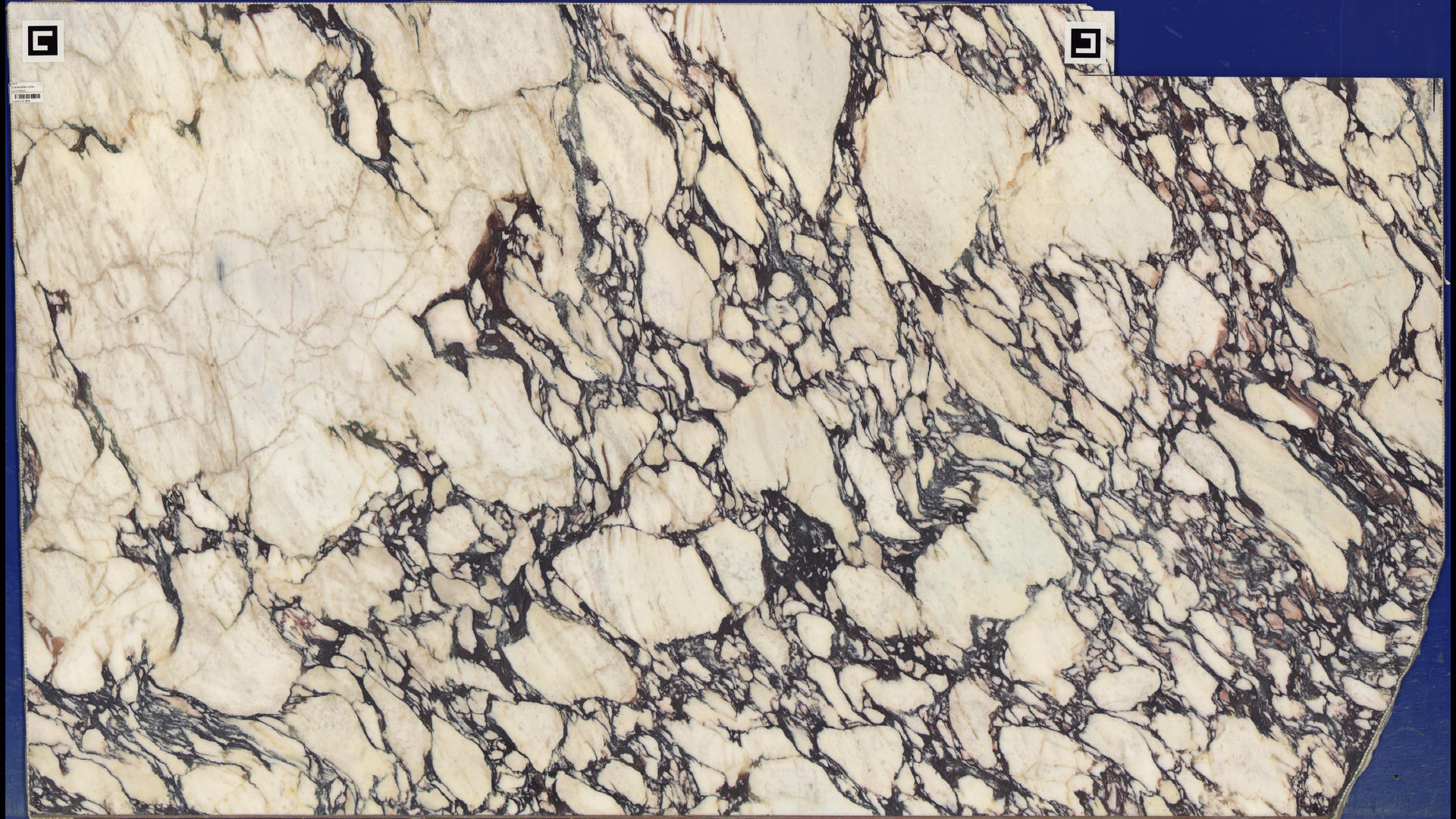 CALACATTA VIOLA EXTRA HONED Marble Slabs
