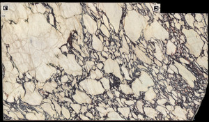 CALACATTA VIOLA EXTRA HONED Marble