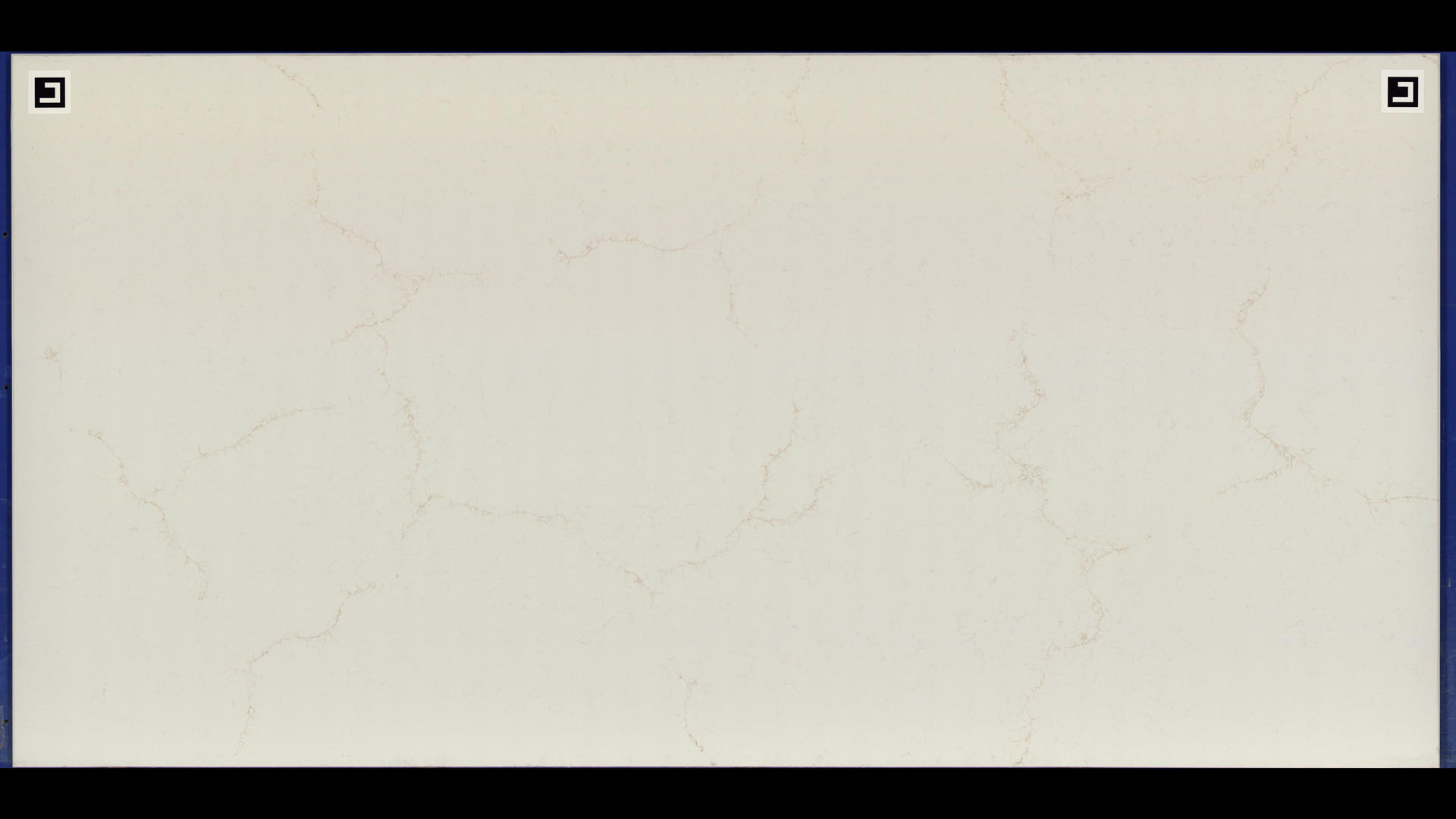 RAINIER GOLD Quartz Slabs