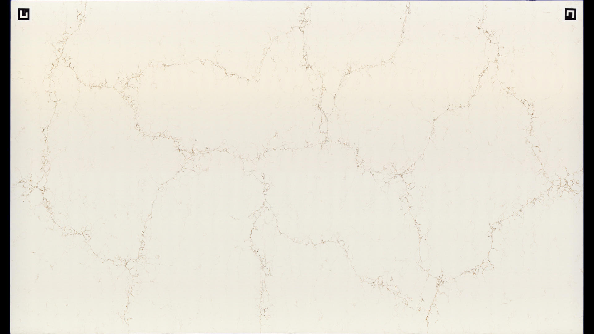 MYORA/MYSTERE GOLD Quartz Slabs