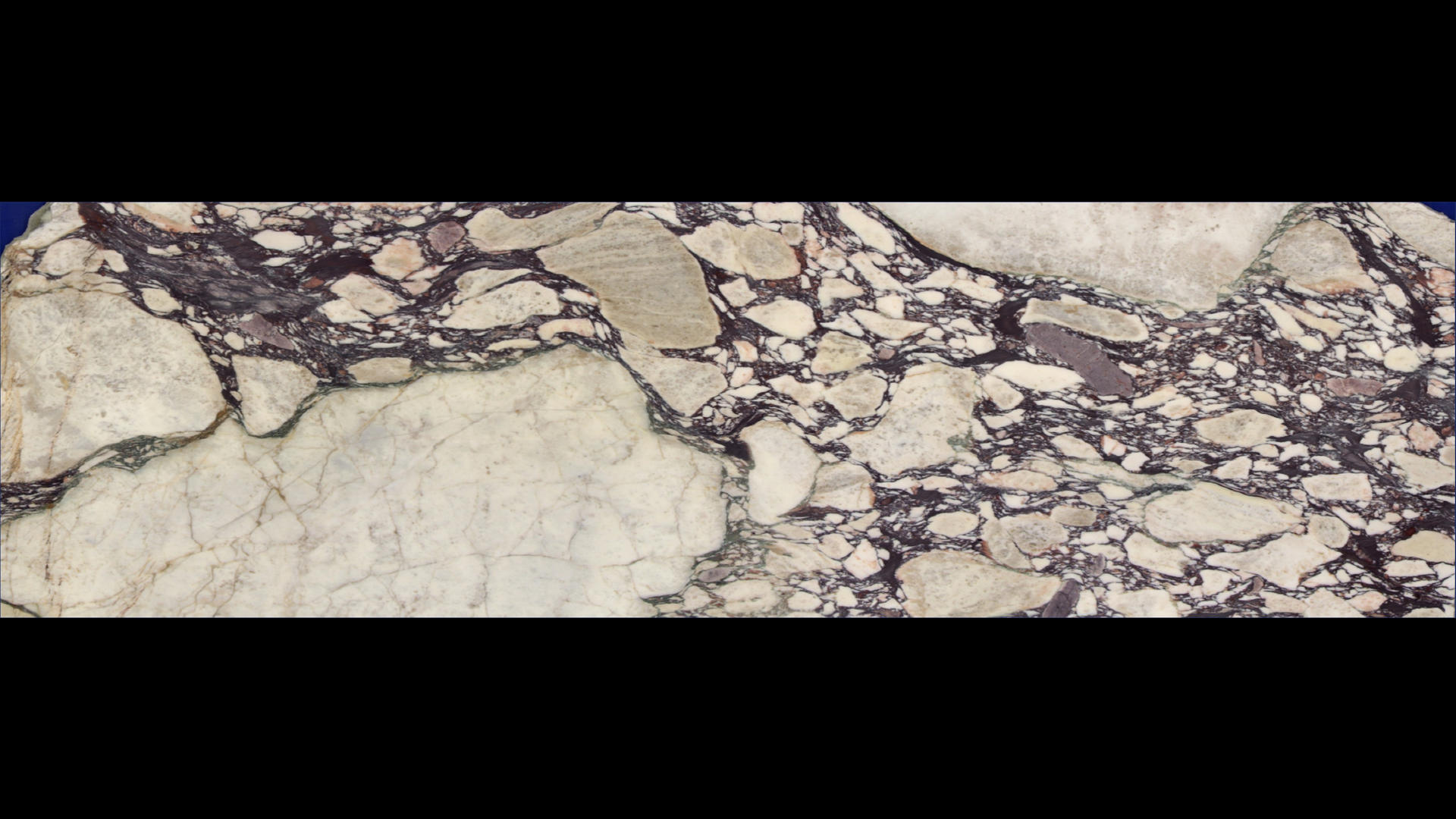 CALACATTA VIOLA Marble Slabs
