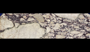 CALACATTA VIOLA Marble