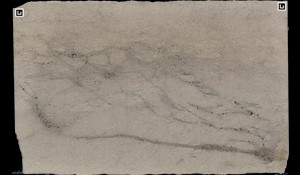 WHITE FANTASY Granite