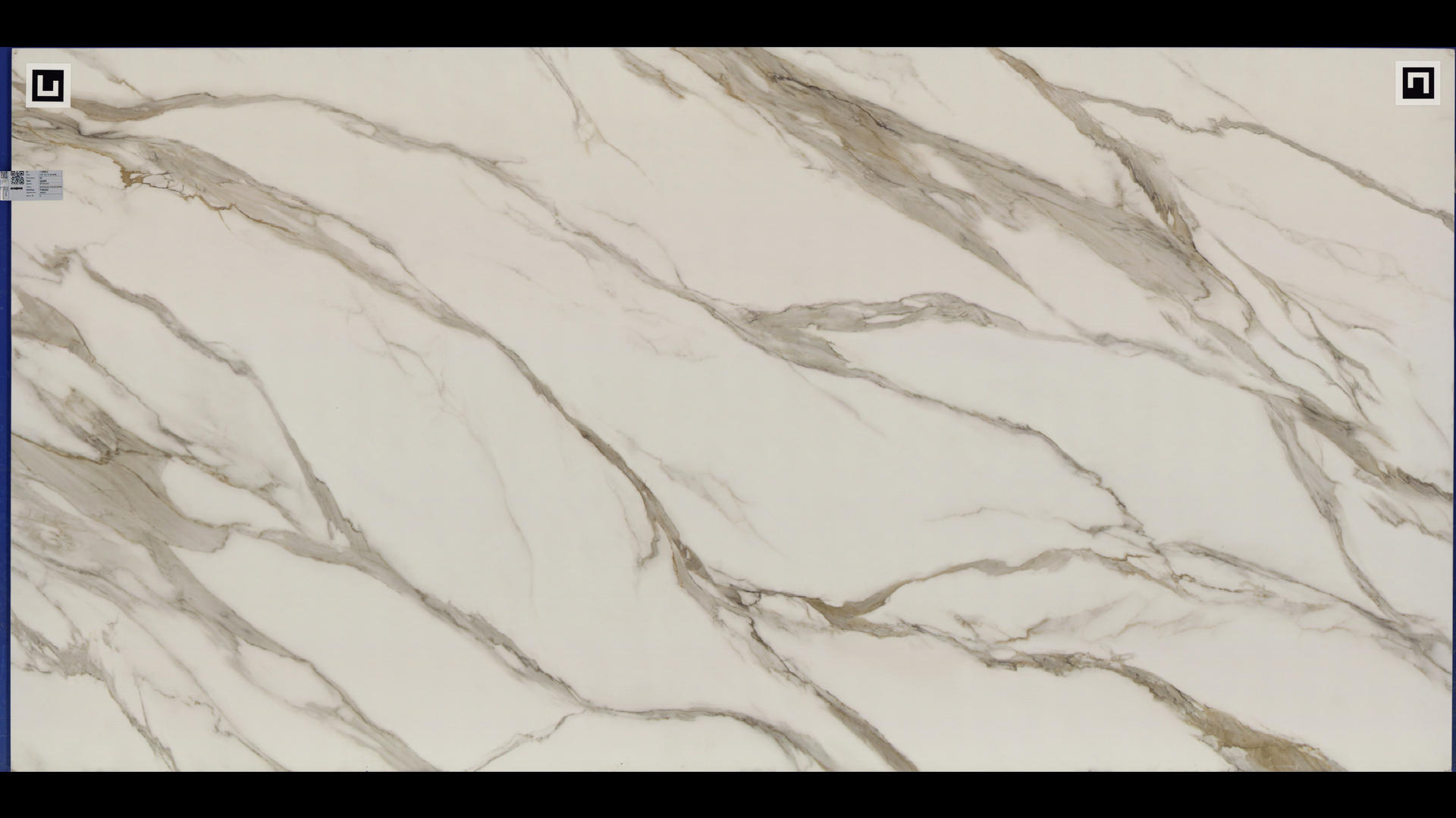 REVOLUX CALACATTA BORGHINI LUX - R Quartz Slabs
