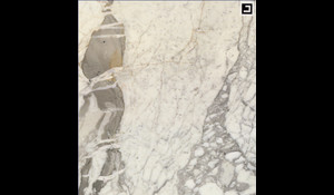 CALACATTA VENATO VAGLI Marble