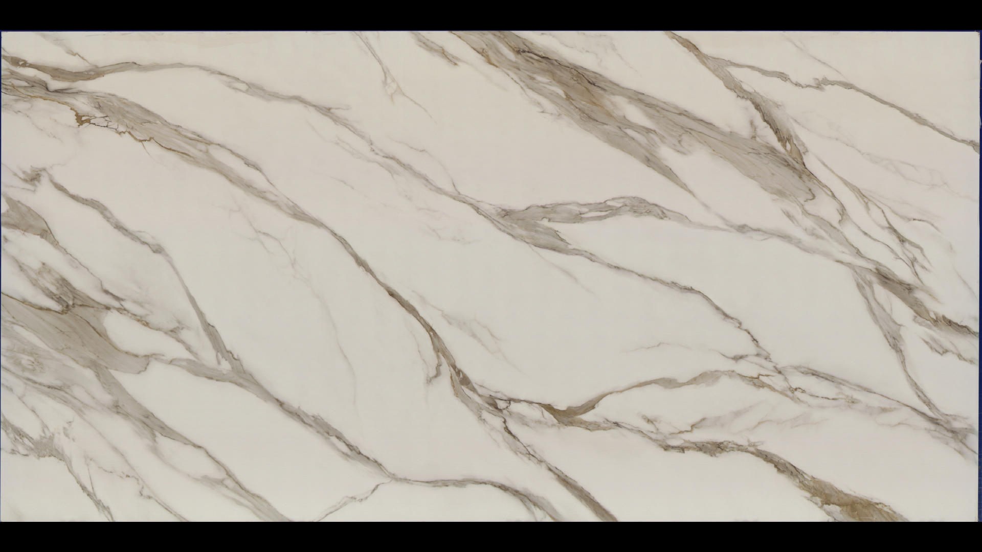 REVOLUX CALACATTA BORGHINI LUX - R Quartz Slabs