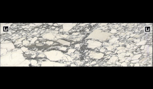 ARABESCATO CORCHIA Marble