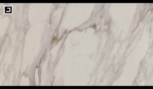 REVOLUX CALACATTA CREMO LUX - R Quartz