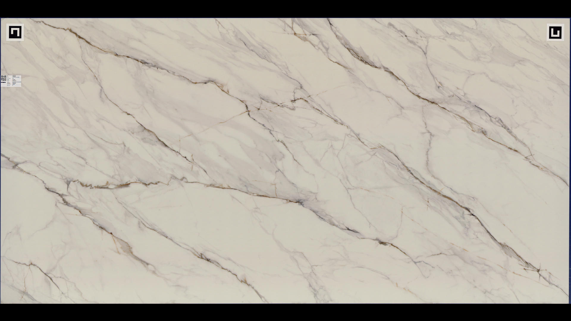 REVOLUX CALACATTA LINCOLN LUX - R Quartz Slabs