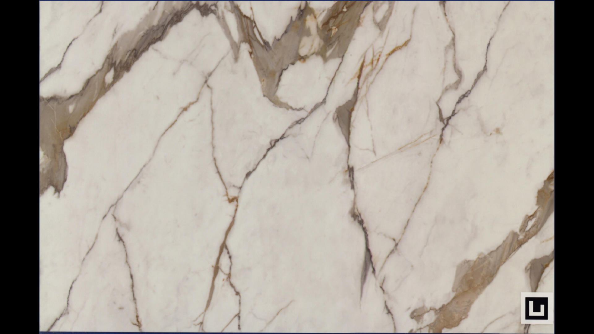 REVOLUX CALACATTA MACCHIA VECCHIA LUX - R Quartz Slabs