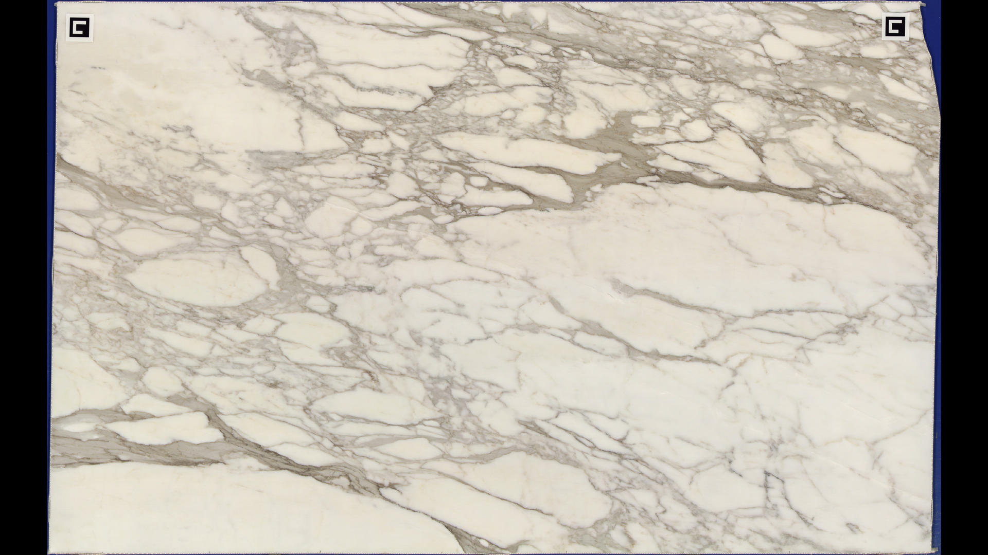 CALACATTA BORGHINI Marble Slabs