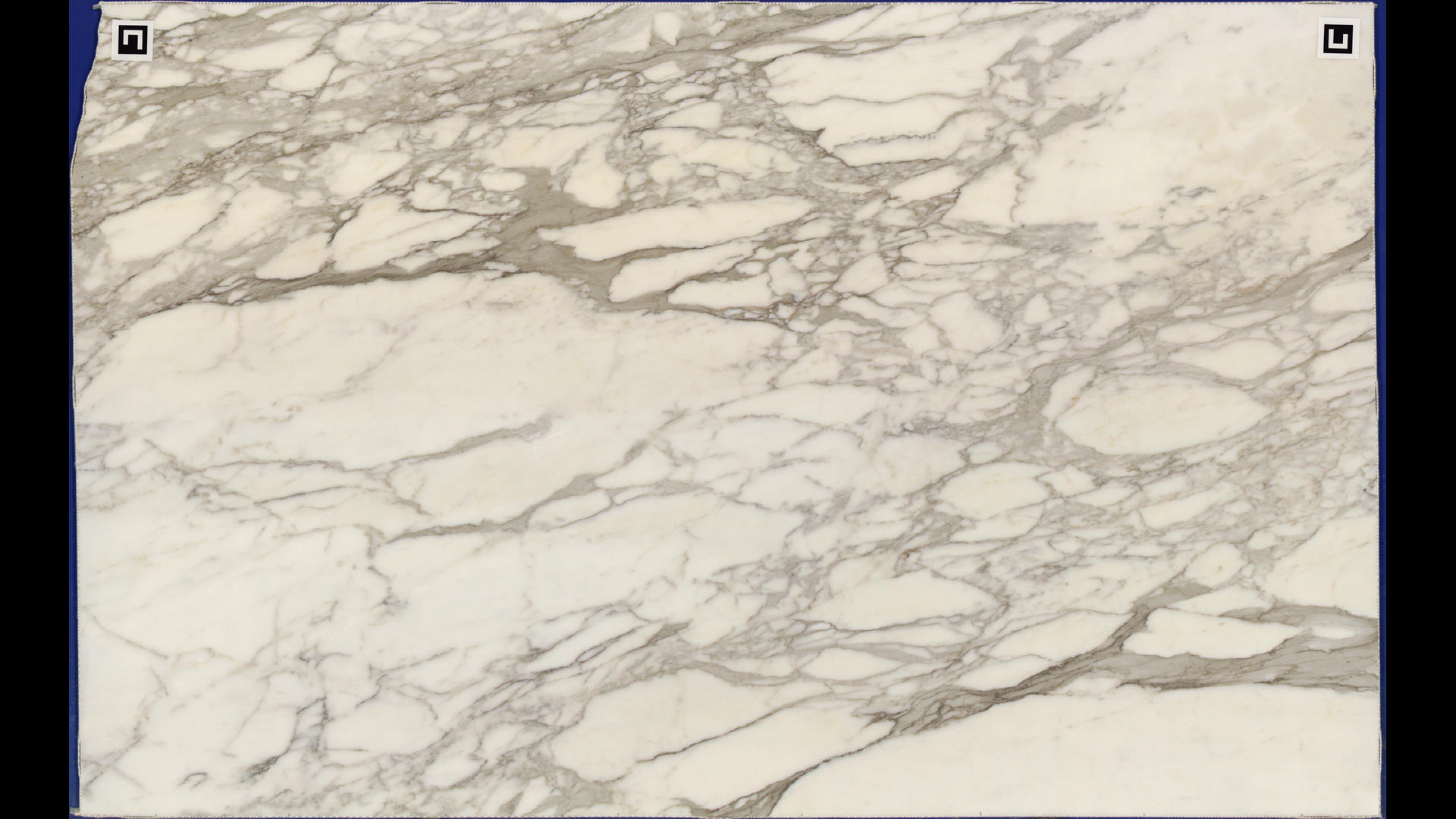 CALACATTA BORGHINI Marble Slabs