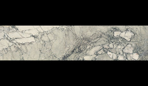 BRECCIA CAPRAIA Marble