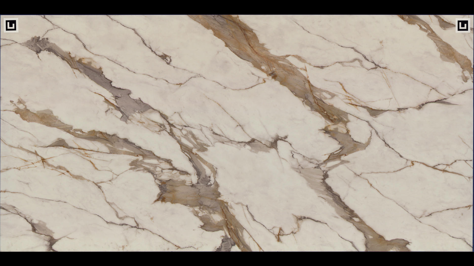 REVOLUX CALACATTA MACCHIA VECCHIA LUX - R Quartz Slabs